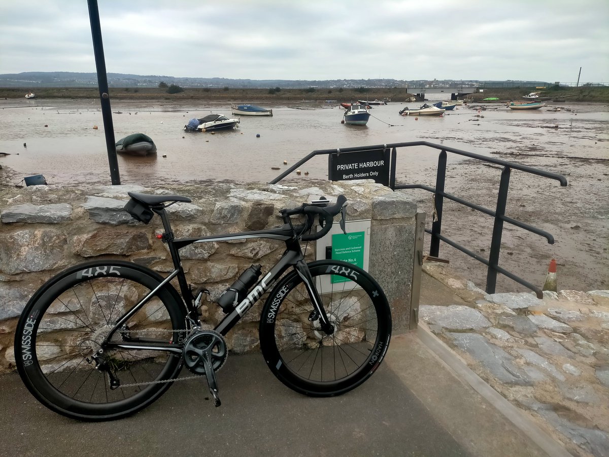 Tim Webster tweet media