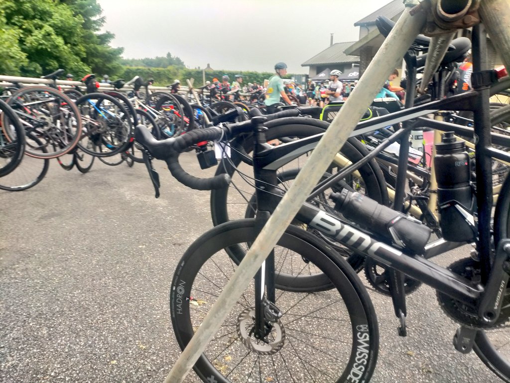 Tim Webster tweet media