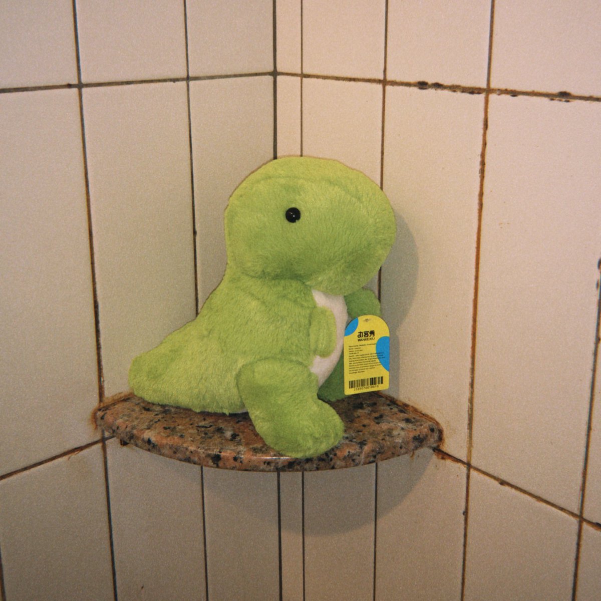 ooraurus's tweet image. hi!