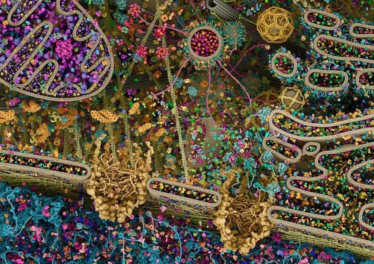 NickParasiris's tweet image. This is an image of a live human cell.  Tell me this doesn't look like a sophisticated circuit board.  A micro universe is within all of us and is also connected and similar to the universe we perceive.