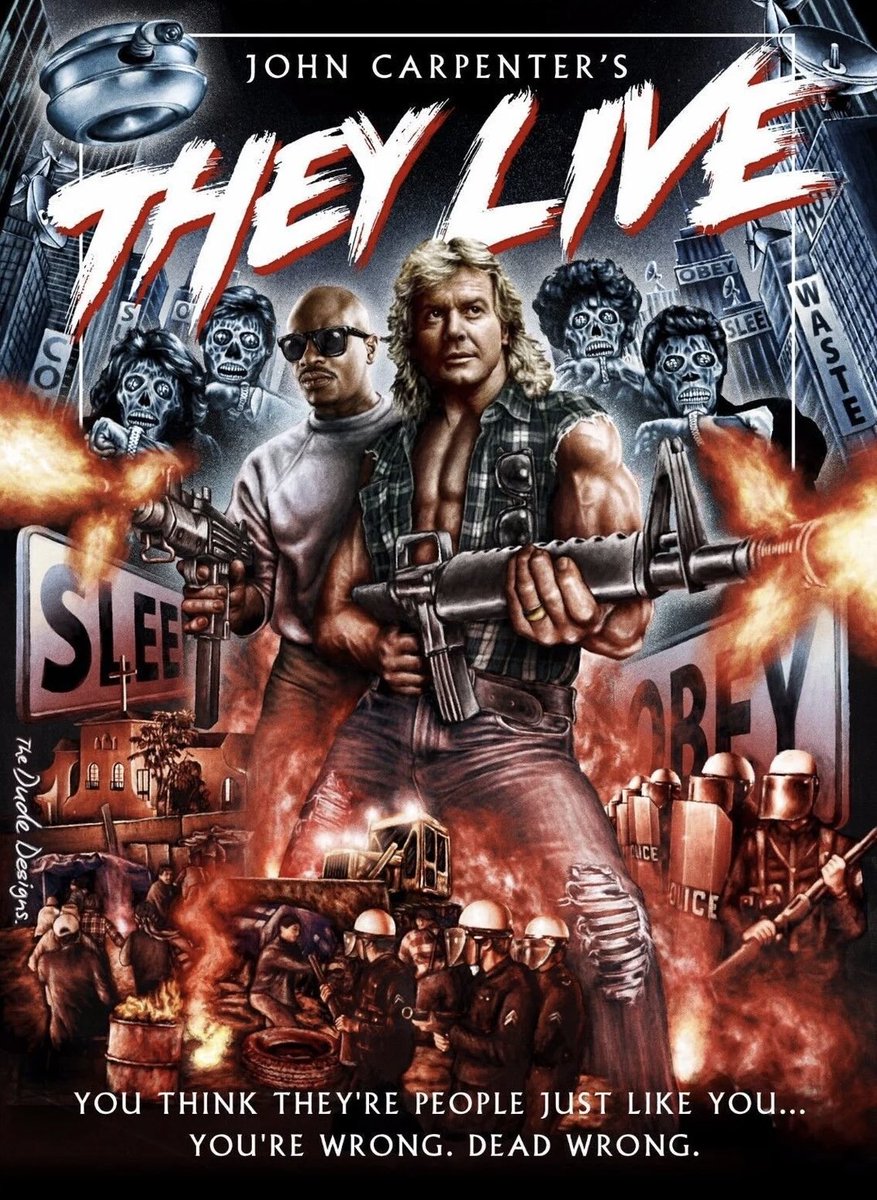 amber_brad47658's tweet image. 