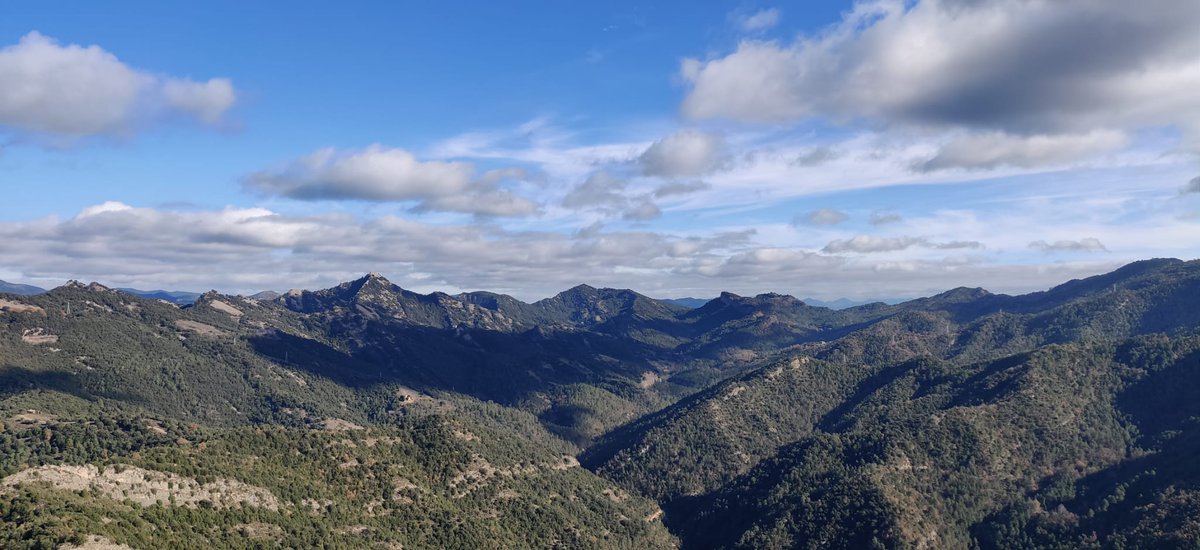 13/12 2025 100 CIMS!!: BERGUEDÀ. MONTSENT (SERRA DE PICANCEL)

Cal Rosal direcció a la Via Verda del Llobregat-Encreuament de la C-16-Casa Nova de Sant Martí-Carena del Serrat de les Vaques-Cim del Montsent (963 m)

Distància: 11 km  
Desnivell: 500 m 

#cepicadestats #100cims