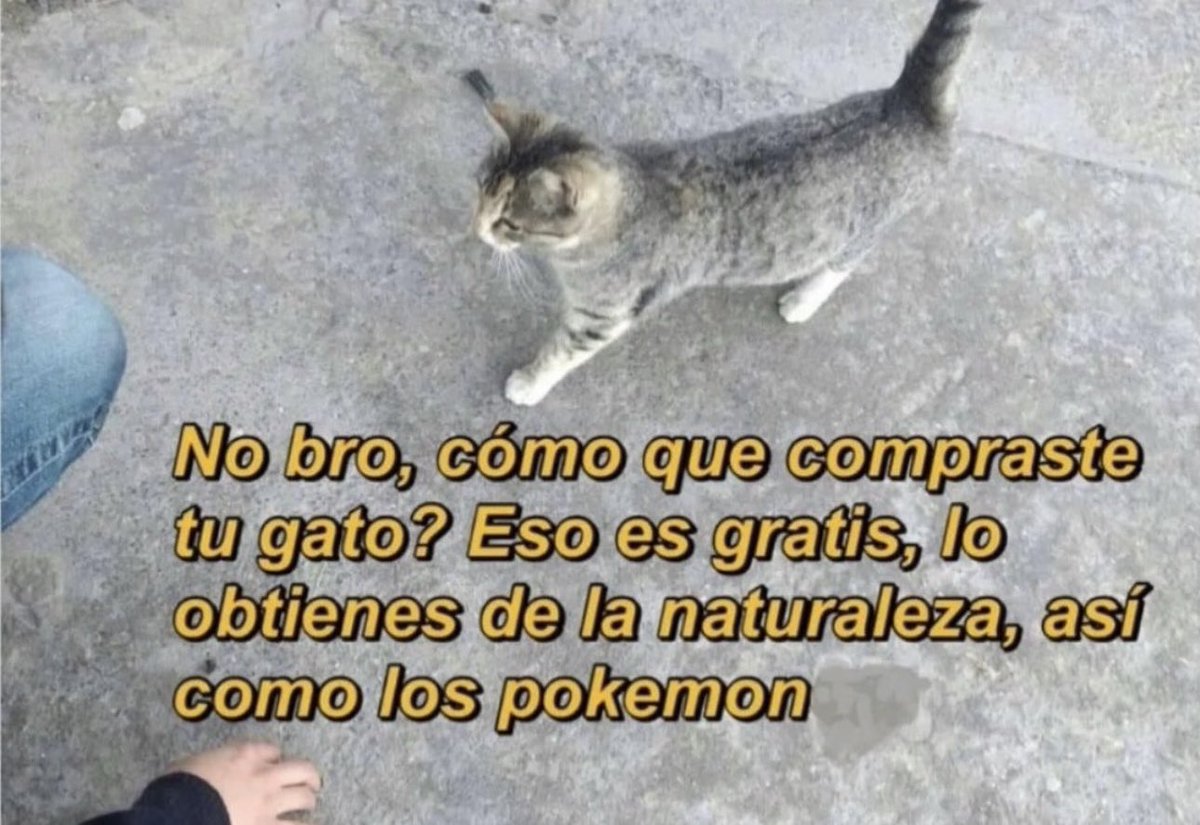 skereunpesado's tweet image. 