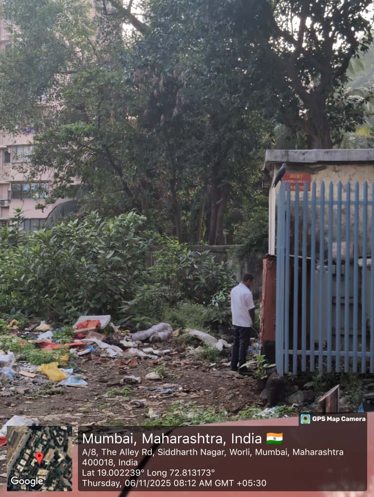 Clean The Alley Road tweet media