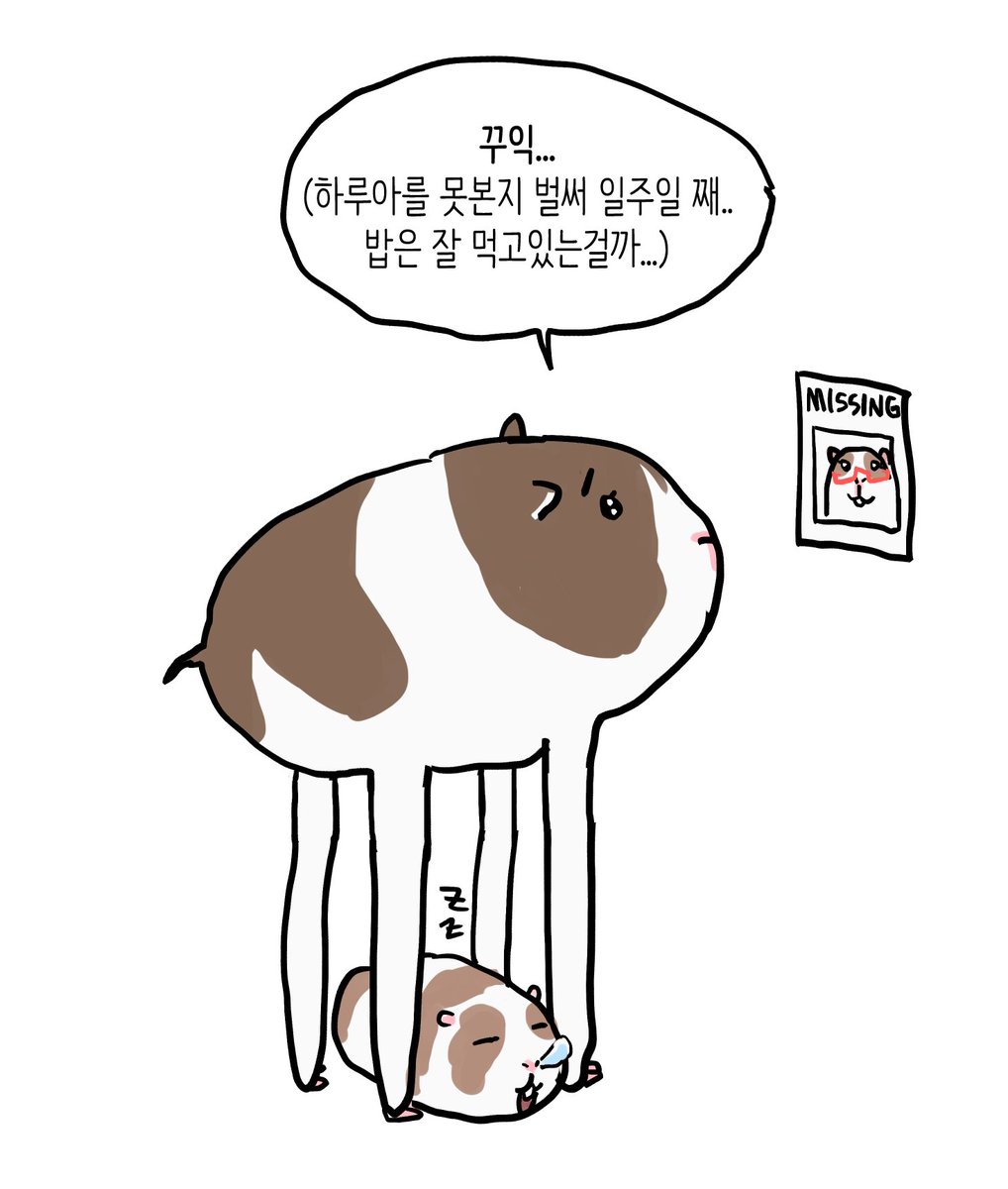 능동 tweet media