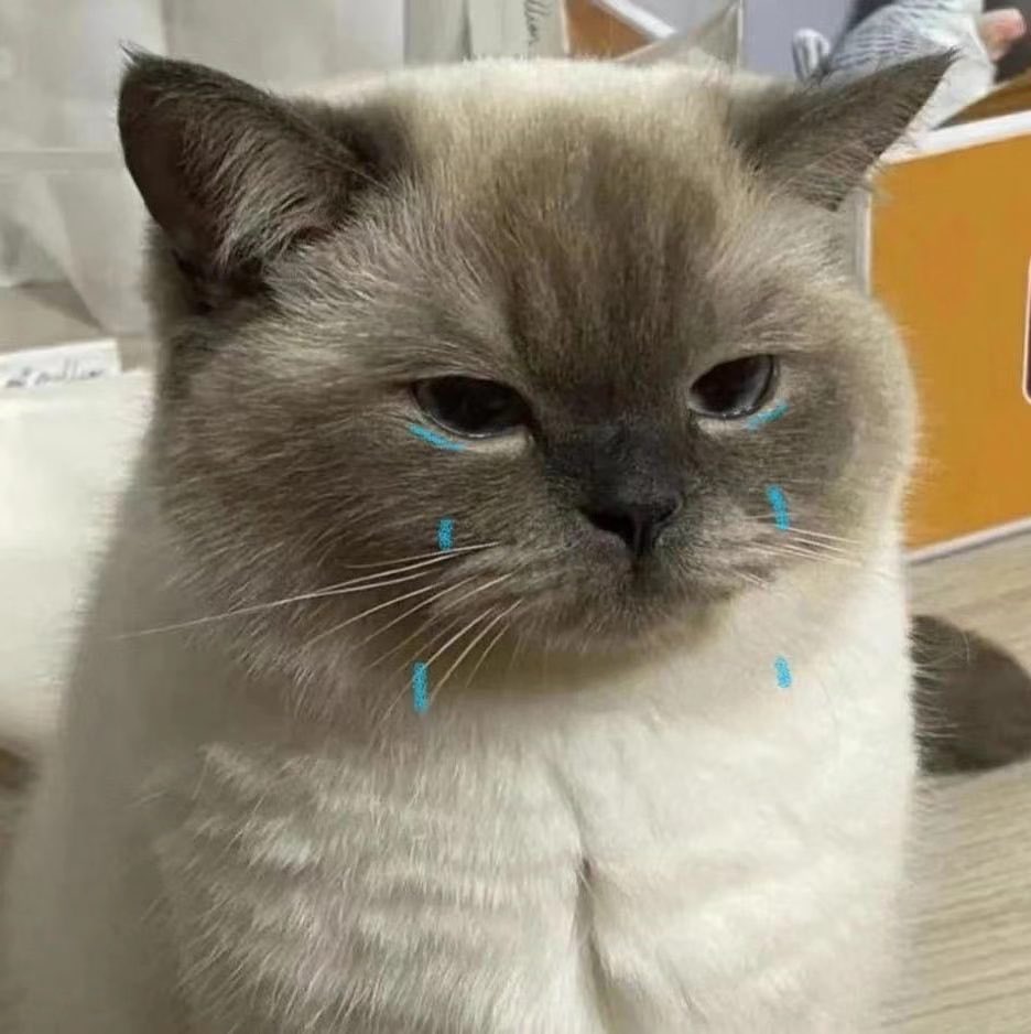 我讨厌在这个城市，没有一个朋友在，去年跨年一个人在大街上漫无目的逛，生日还被放了鸽子，今年不出意外又是一个人😕我真的要掉小珍珠了😮‍💨