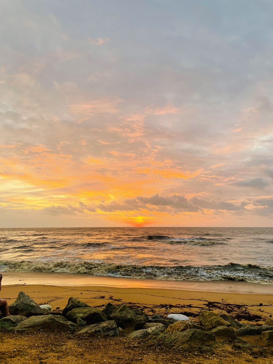 Colors always enhance magic 🦋🍁
.
.
5 : 52 pm