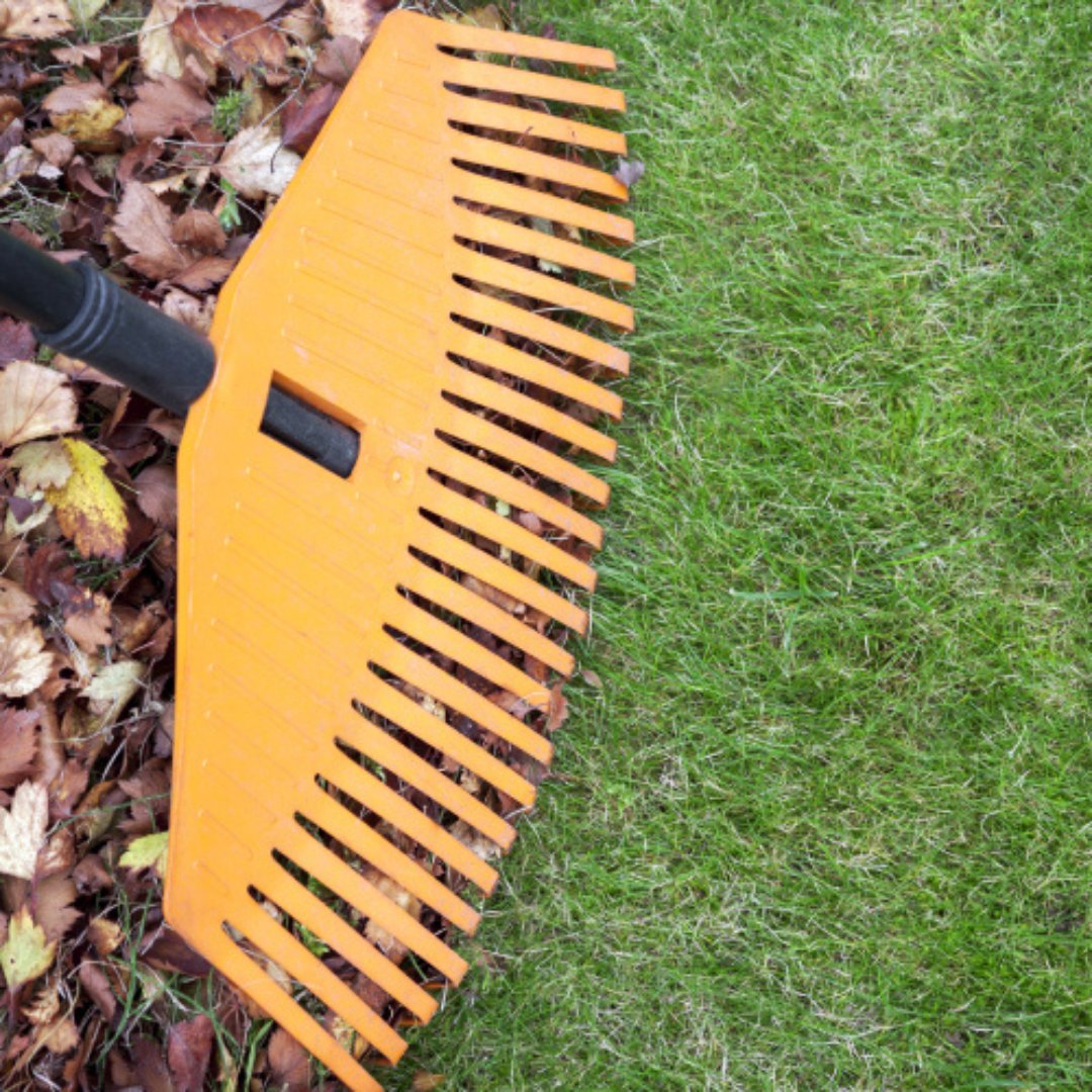 a_landscaping1's tweet image. When the leaves start falling, we're ready to clean them all! Our leaf cleanup services keep your yard looking neat and healthy. Call us today to schedule your yard maintenance before the mess piles up! #LeafCleanup
oklahomacitytreecutting.com/leaf_cleanup