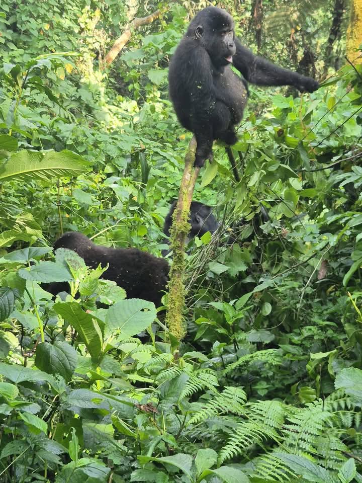 Don’t chase the money.
Chase the freedom that money

 unlocks
 No alarms
 Spontaneous flights
 Creative control
 Building what you love

Money’s just the tool. Freedom is the goal.