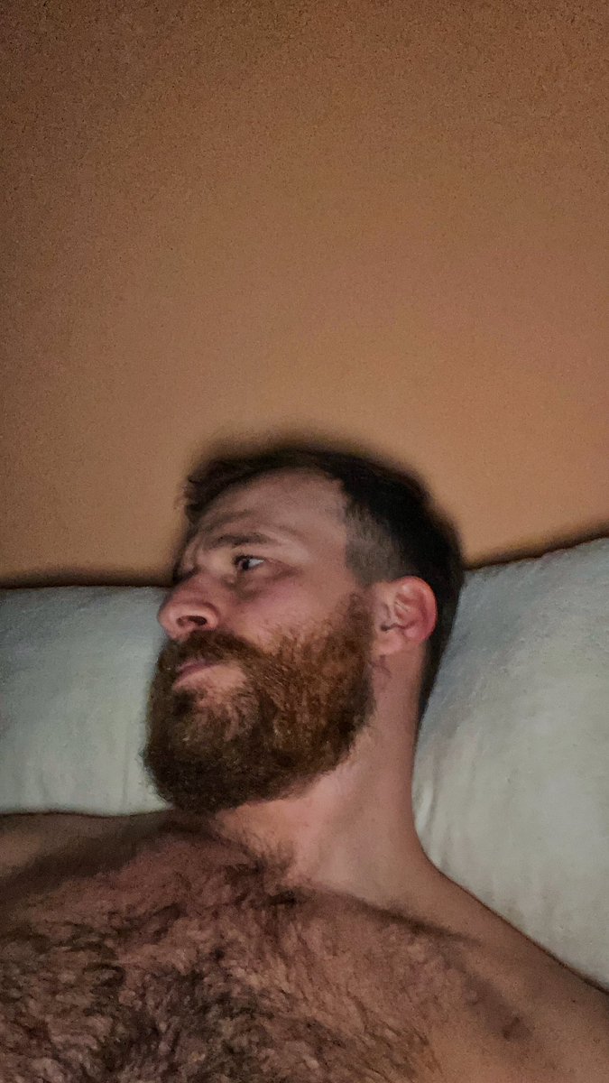 bulbasauro tweet media