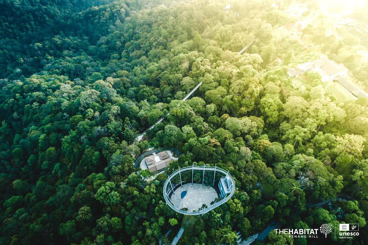 TREE Foundation tweet media