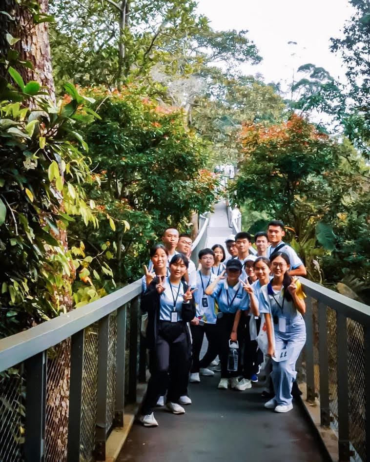 TREE Foundation tweet media