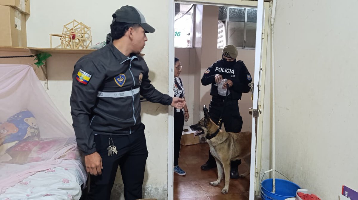 PoliciaEcZona5's tweet photo. 🚨CONTROLES EN TERMINALES🚍

📍En #Babahoyo, #LosRíos, unidades especializadas de #PolicíaEcuador realizaron registros minuciosos a pasajeros, buses y encomiendas para prevenir el transporte de objetos prohibidos.

#ServirYProtegerConFirmeza
#DiciembreConAcciónYCompromiso https://t.co/yQyYpApW8u