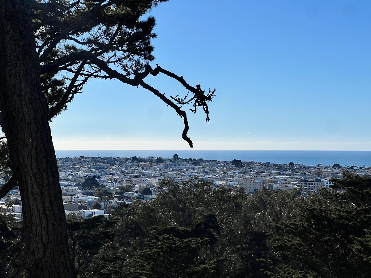 Jeffrey Wang tweet media