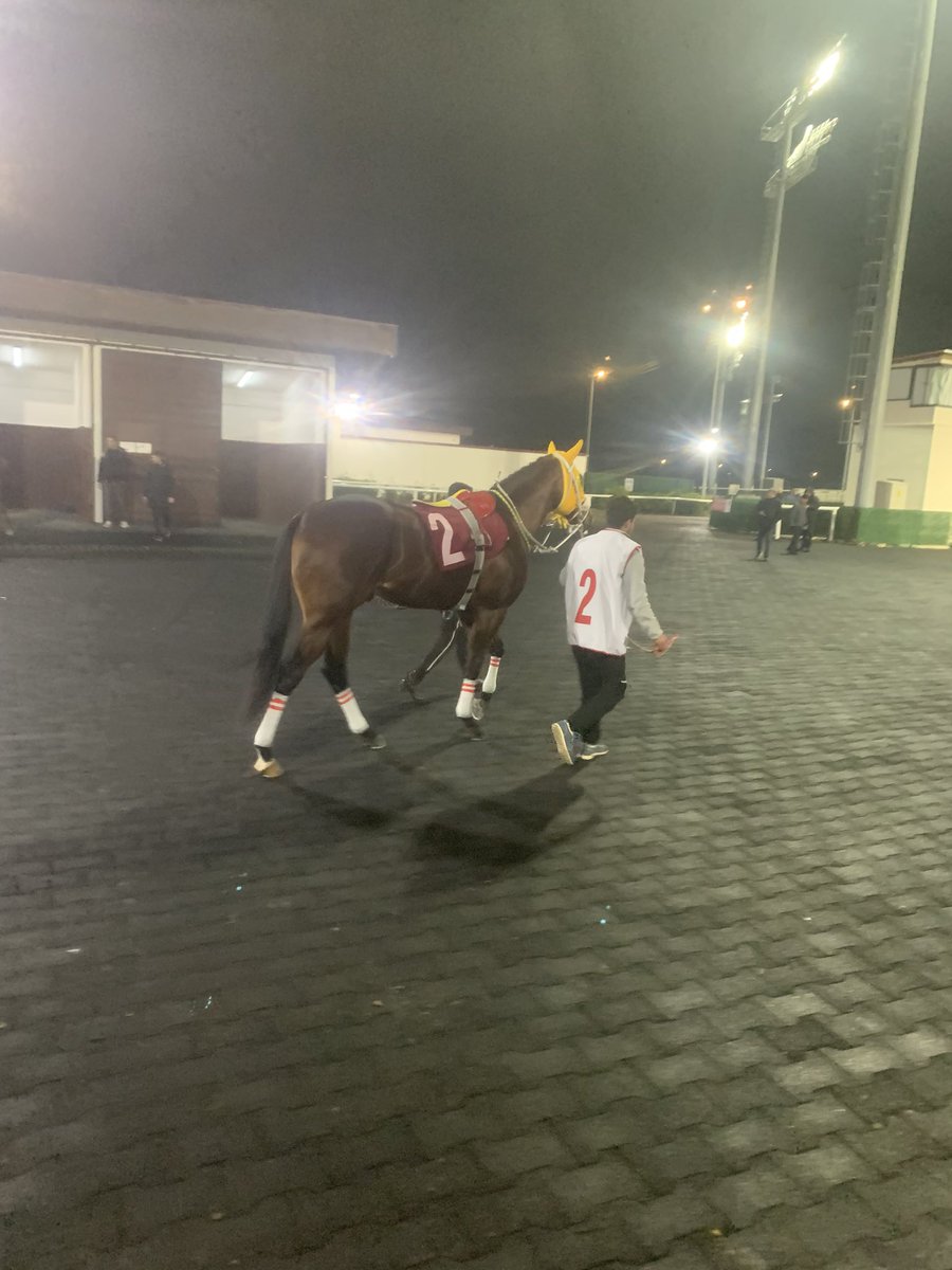 Şansımız bol olsun