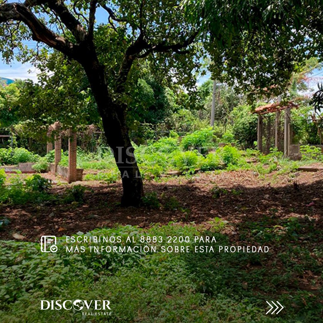 DiscoverRealtor's tweet image. Las mejores oportunidades están en ubicaciones estratégicas, y Carretera Sur es una de ellas.

 Ideal para vivienda, proyecto comercial o inversión a largo plazo, con acceso directo a vía principal y entorno natural.

📐 1,041 v²
💰 $68,000
🔑 ID 14510
📲 Más info: +505 8883-2200