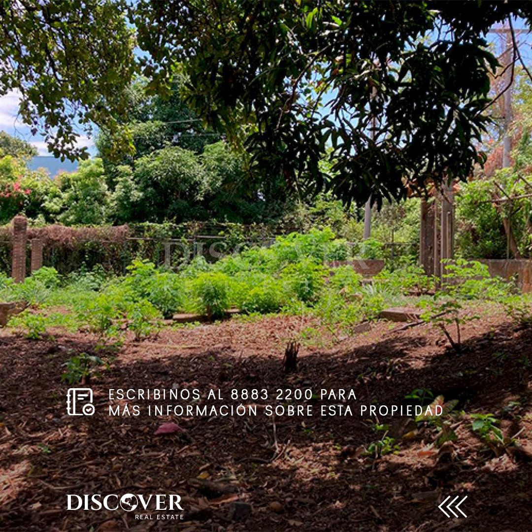 DiscoverRealtor's tweet image. Las mejores oportunidades están en ubicaciones estratégicas, y Carretera Sur es una de ellas.

 Ideal para vivienda, proyecto comercial o inversión a largo plazo, con acceso directo a vía principal y entorno natural.

📐 1,041 v²
💰 $68,000
🔑 ID 14510
📲 Más info: +505 8883-2200