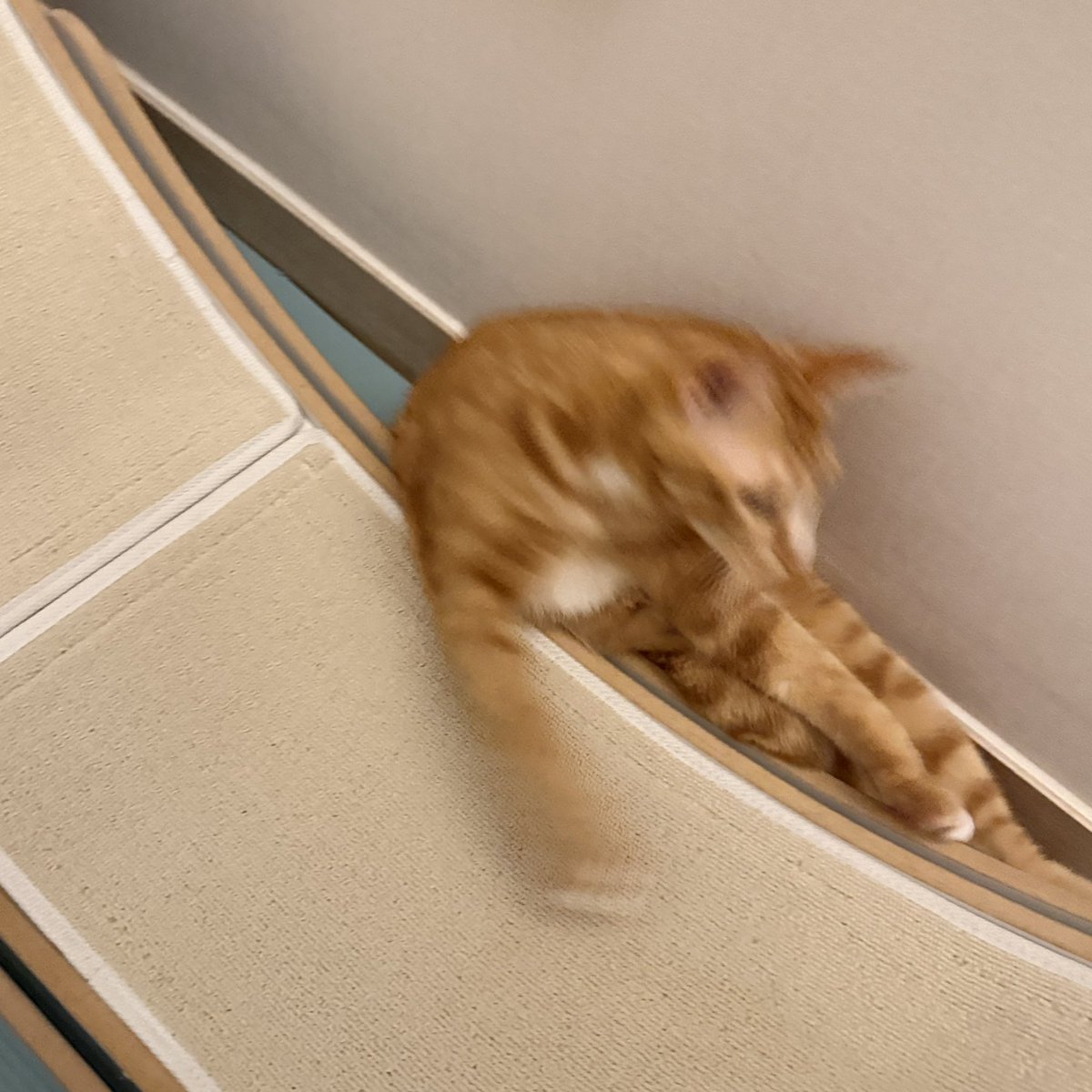 캣휠 타다가 떨어짐
아ㅜㅜ