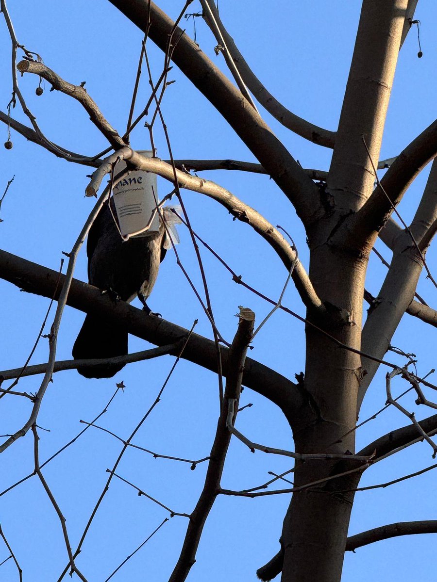 İnsanlar, hayvanlar, ölüler, diriler, ruhlar, melekler, hava, su, ateş, toprak,  gökyüzü, yeryüzü, ağaç, çiçek, böcekler, kurtlar ve kuşlar ile Kardeşlik Seferberliği...