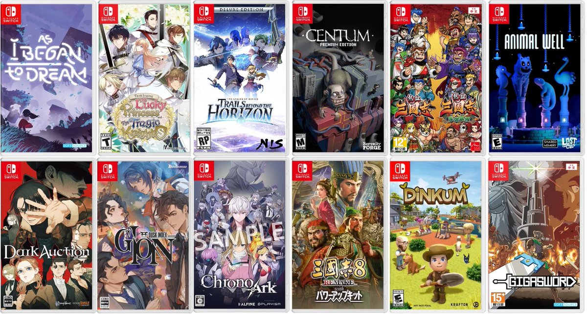 Nintendo その他 Switch