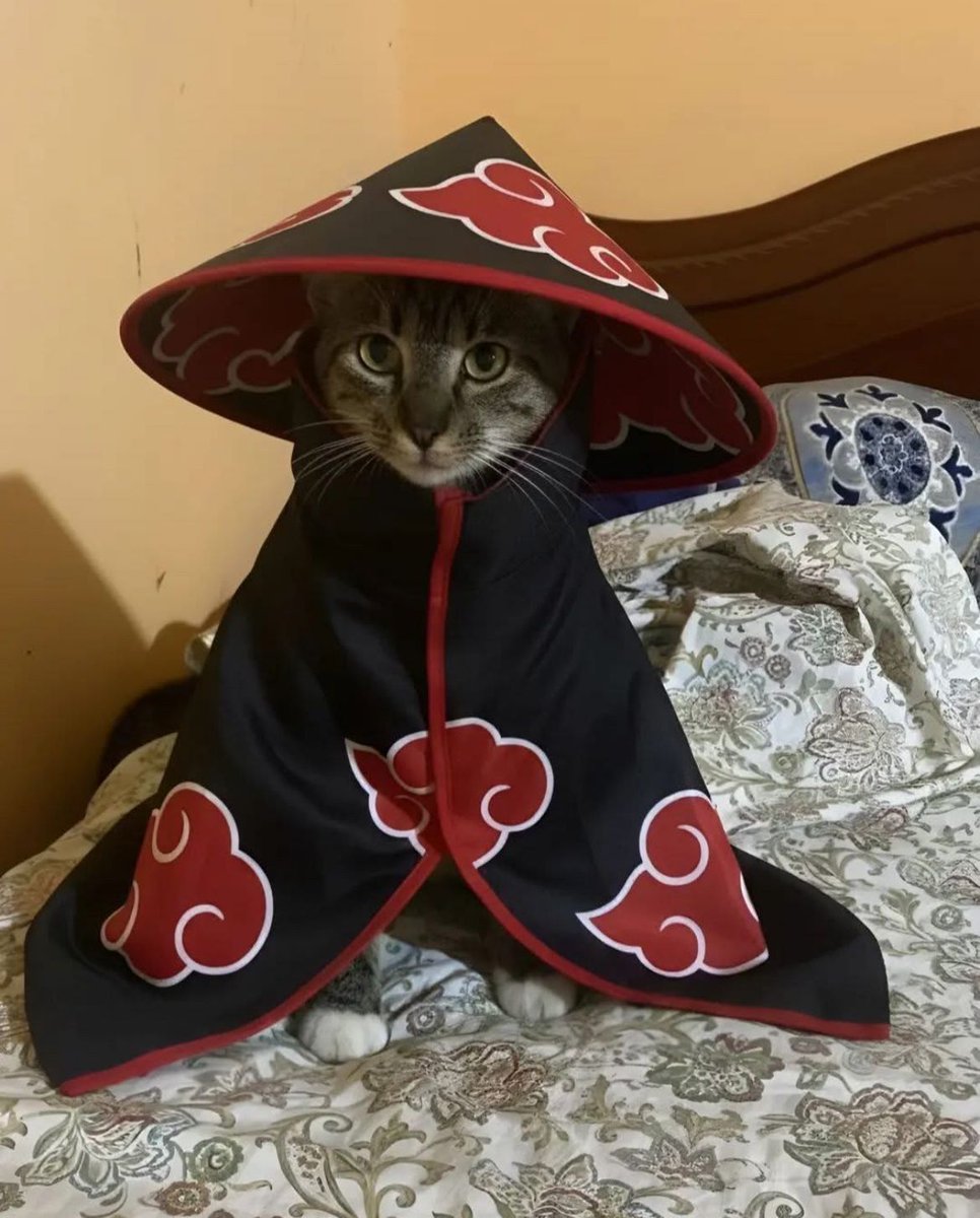 NarutoDaily_'s tweet image. The newest member of The Acatsuki