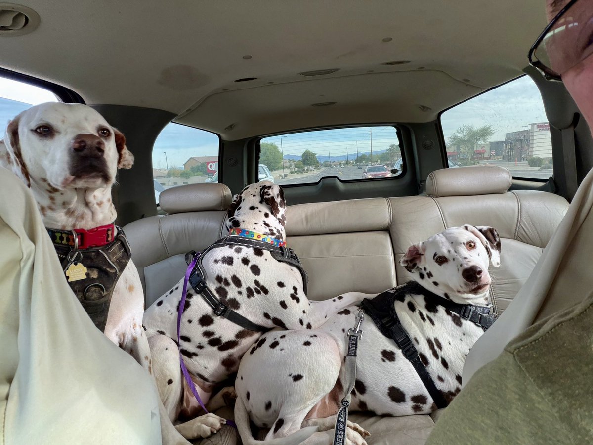 Keith Rhode tweet media