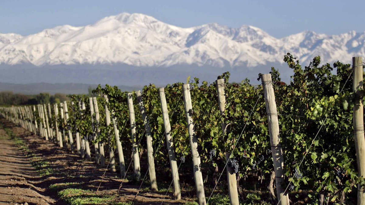 🍇 #Mendoza presenta una agenda de desarrollo  que busca aprovechar su posición estratégica como puerta bioceánica y su potencial territorial. 
#PlanQ