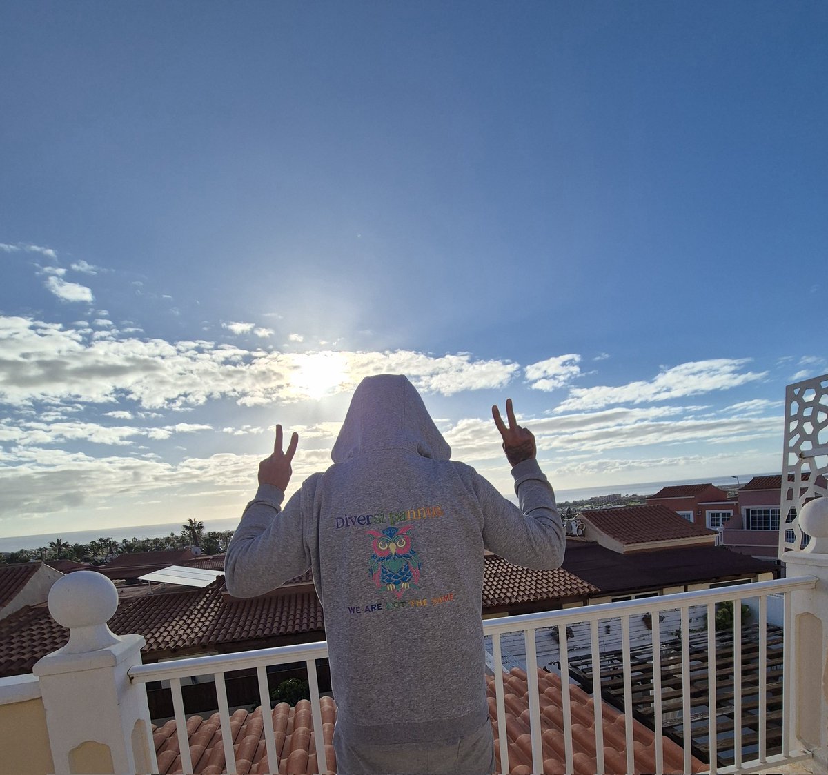 Diversi Pannus tweet media