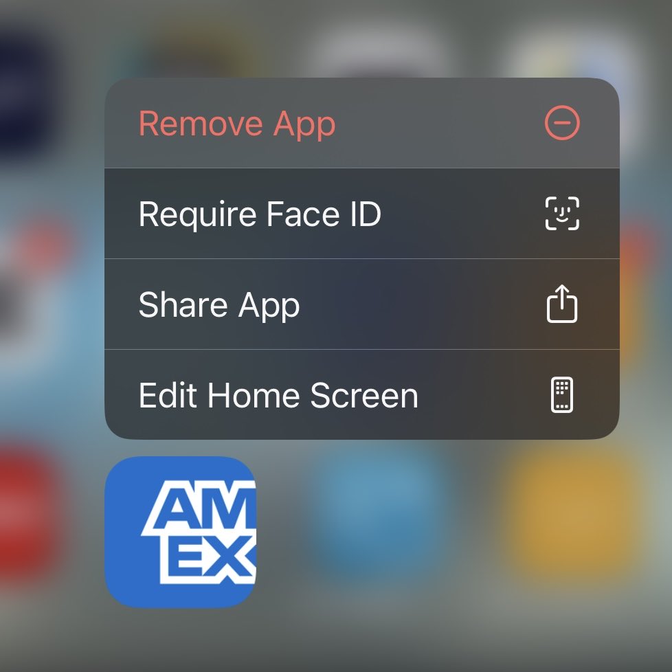 notcamcasey's tweet image. the lion maxes out his amex &amp;amp; then deletes the app 🦁