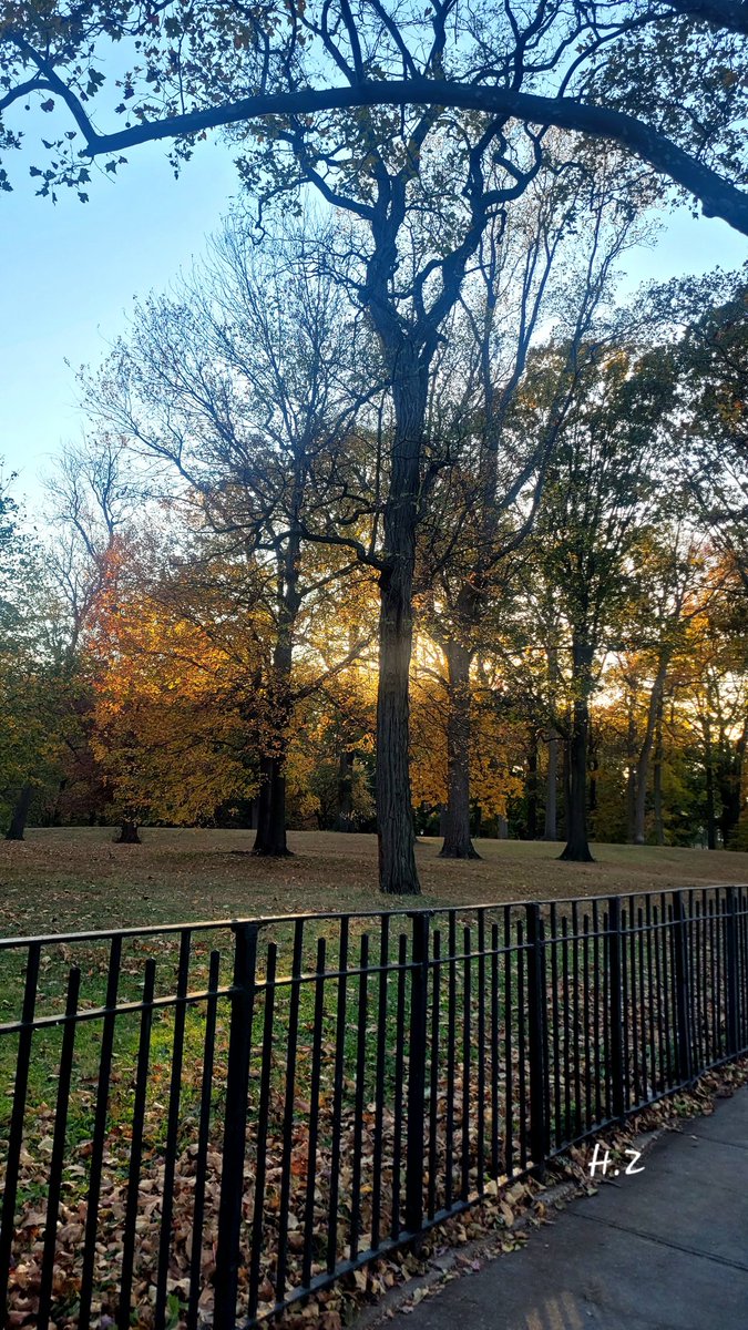 huda zahid tweet media