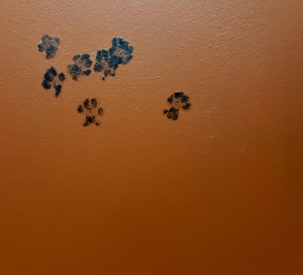 Simon Busch tweet media