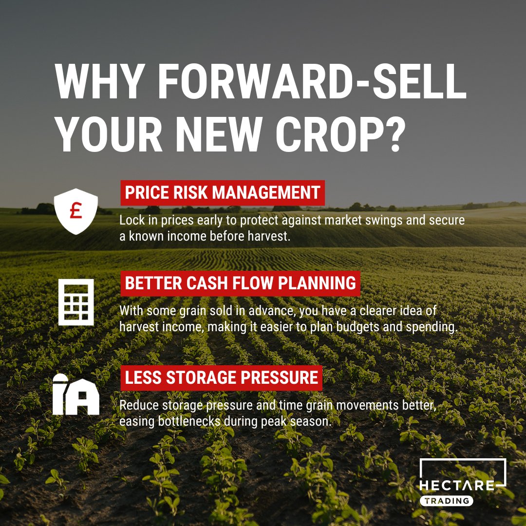 As 2025 ends, many are thinking about the season ahead and forward-selling before harvest — a grain marketing principle that consistently matters 🌾

We’re revisiting one of our top articles exploring why it works 👉 ow.ly/KgNV50XQoy6

#ArableFarming #GrainMarketing
