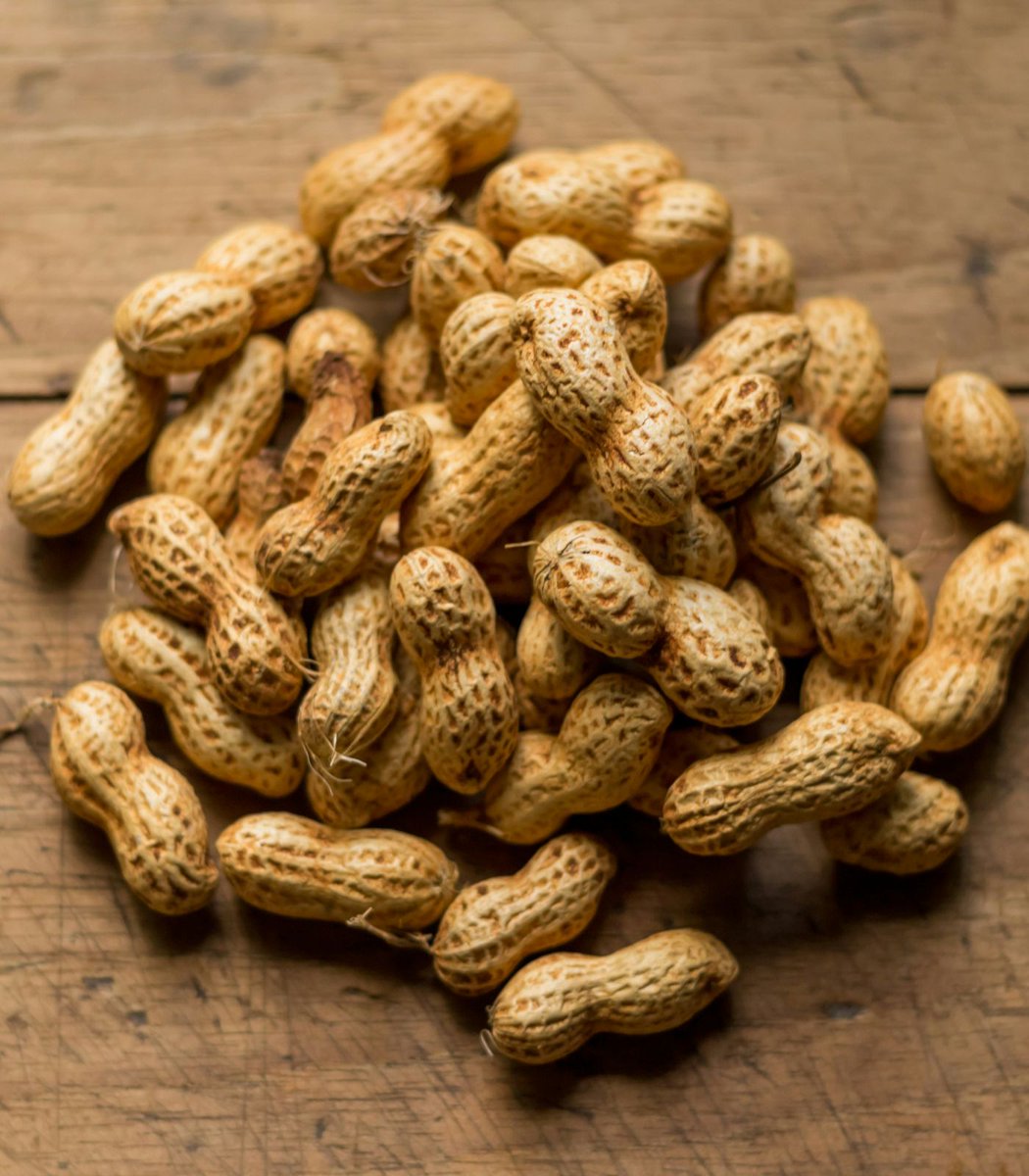 Dexerto's tweet image. A study found that adding peanuts to your daily diet could improve memory and brain function in older adults