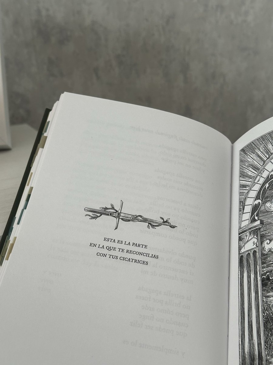 Estaba limpiando mis libros y me encontré con esta joyita que leí a mitad de año y amé.