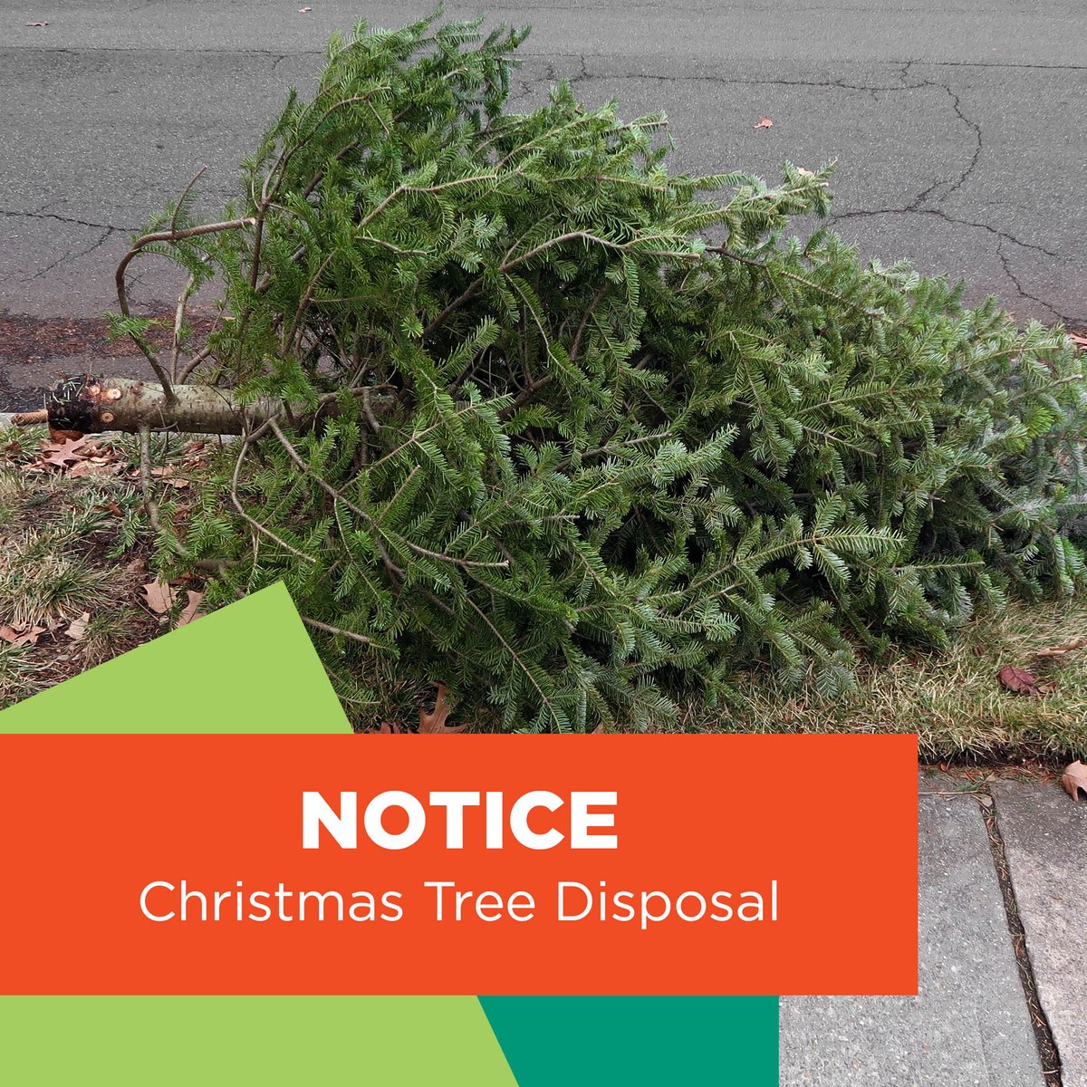 City of Johnson City tweet media