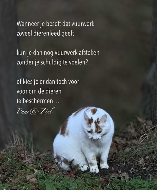 Yvon (@yvonne9876) on Twitter photo 