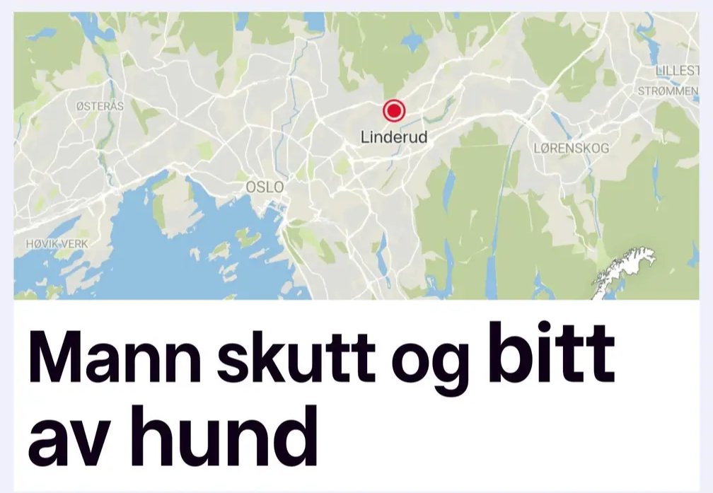 Hunder bør ikke ha lov til å bære våpen.