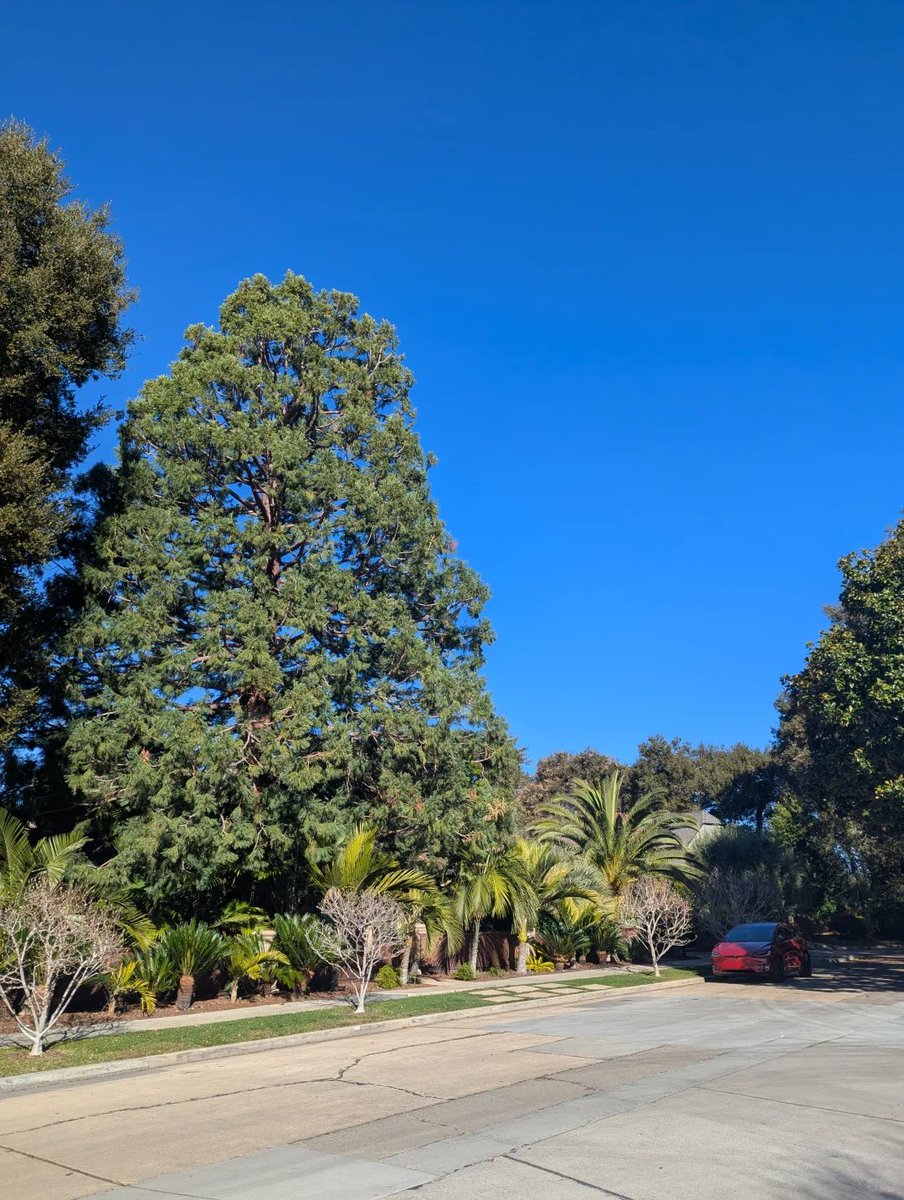 后门Roth帮我省了300万美元税美国家庭，在雇主的退休账户(比如401(k)、403(b)、457(b)等)里放满普通的供款以外，还可以通过两个渠道额外存退休金。  一、Roth IRA(Individual Retirement Account，个人退休账户) Roth  IRA的基本原理是：只要我们有普通收入，就可以往这个 ...