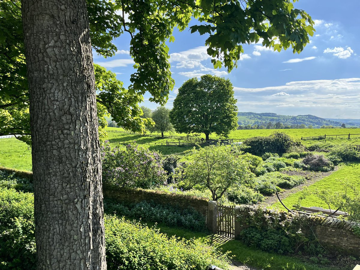 Dan Jackson tweet media