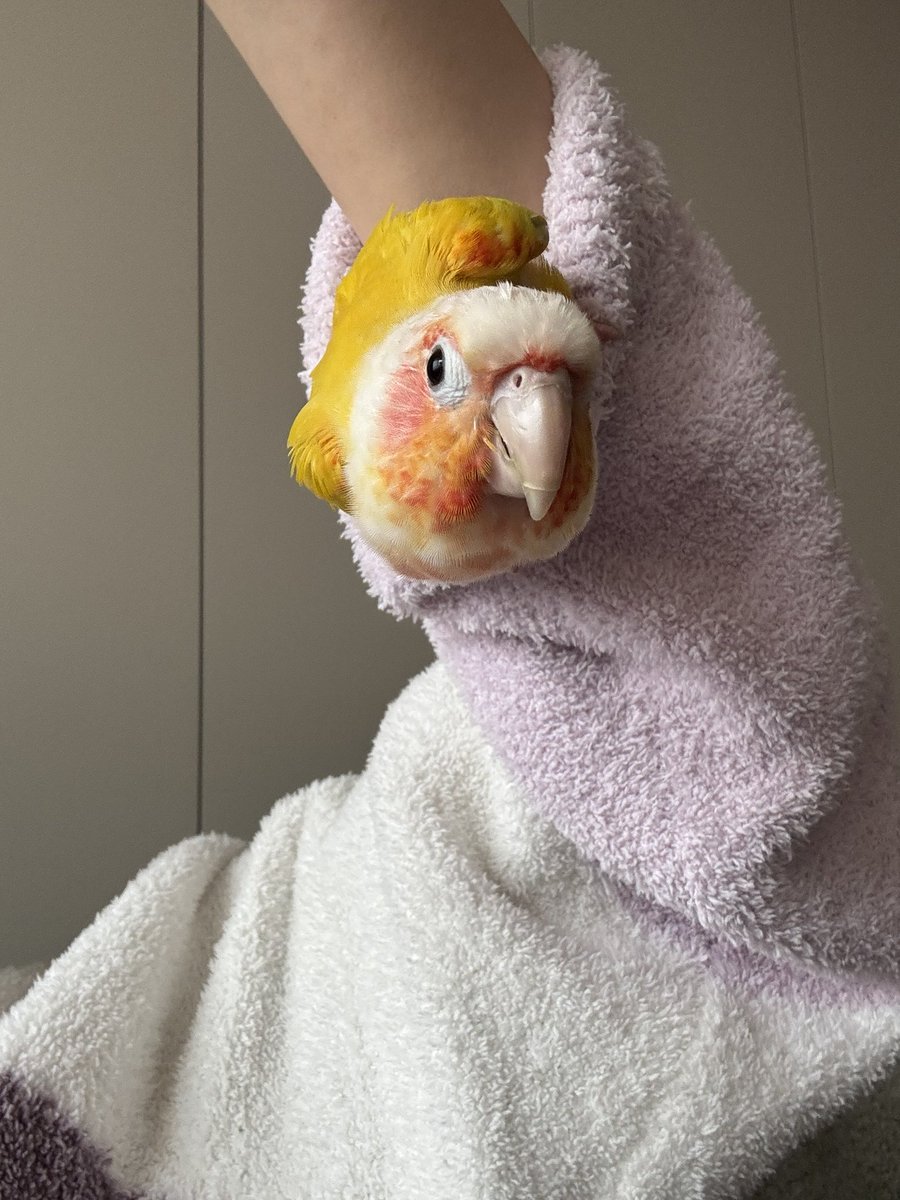 章魚💜ก(ｰ̀ωｰ́ก) tweet media