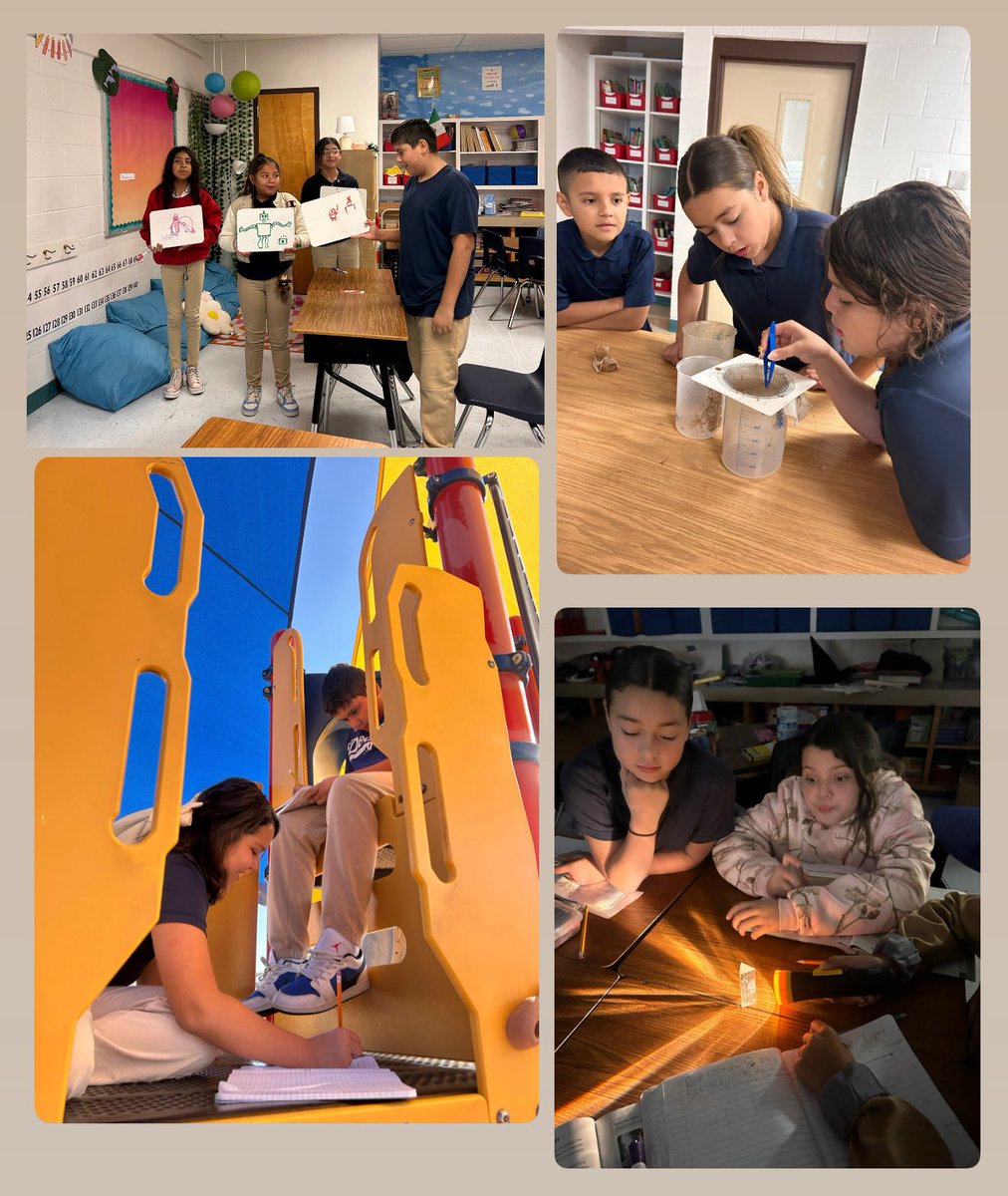 Ariadna Perez tweet media