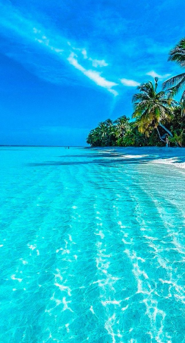 ななし tweet media