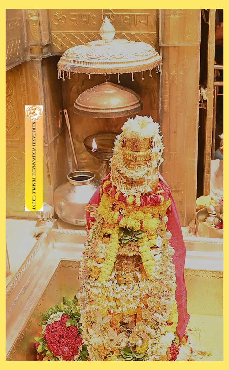 ShriVishwanath's tweet image. श्री काशी विश्वनाथ जी की सप्तऋषि आरती I
#kashivishwanath #kashi #sanatandharma #banaras