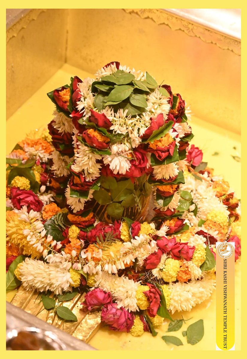 ShriVishwanath's tweet image. श्री काशी विश्वनाथ जी की सप्तऋषि आरती I
#kashivishwanath #kashi #sanatandharma #banaras