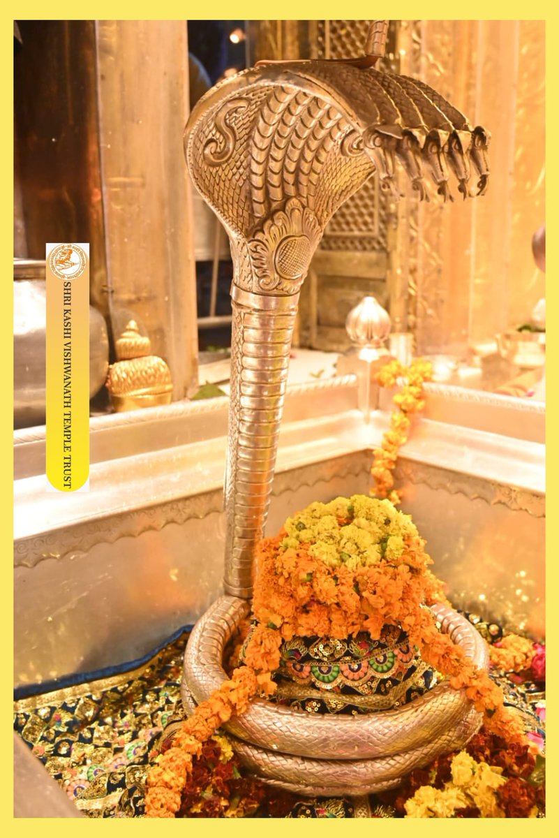 ShriVishwanath's tweet image. श्री काशी विश्वनाथ जी की श्रृंगार आरती I
#kashivishwanath #kashi #sanatandharma #banaras