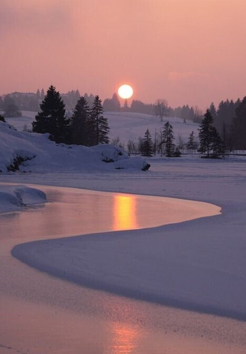 Gabrielamelosou's tweet image. 73時間 🥳