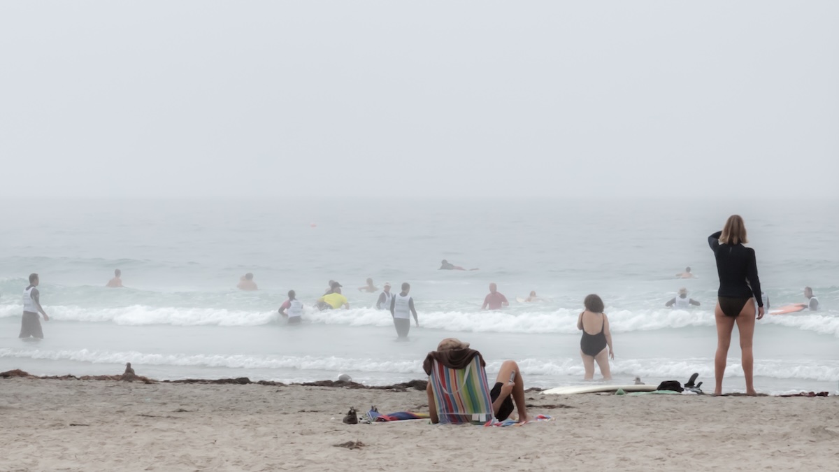 Start the New Year With a Splash at the La Jolla Polar Bear Plunge -  lajolla.com/news/start-the…