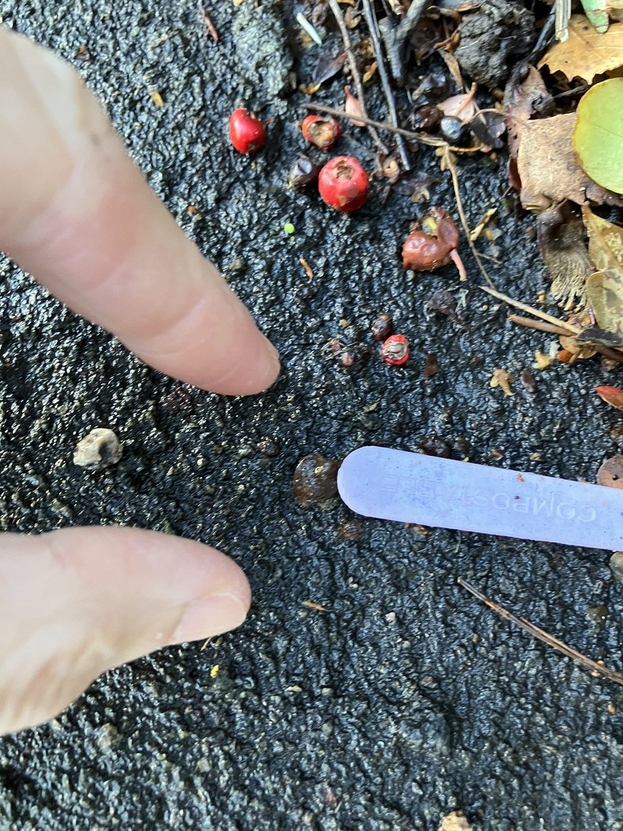 @_pickuplitter tweet media