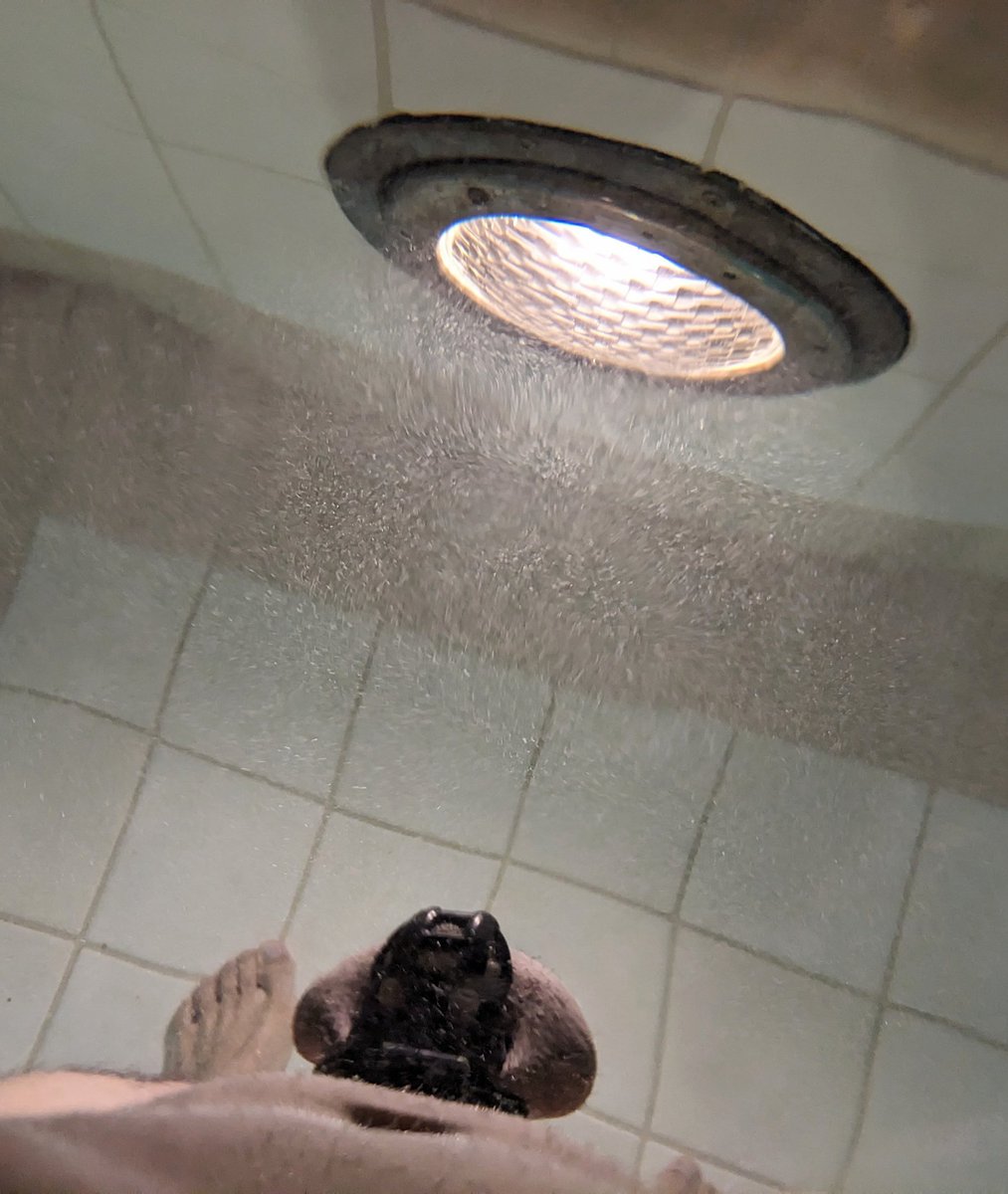 Sockeye sub NY tweet media