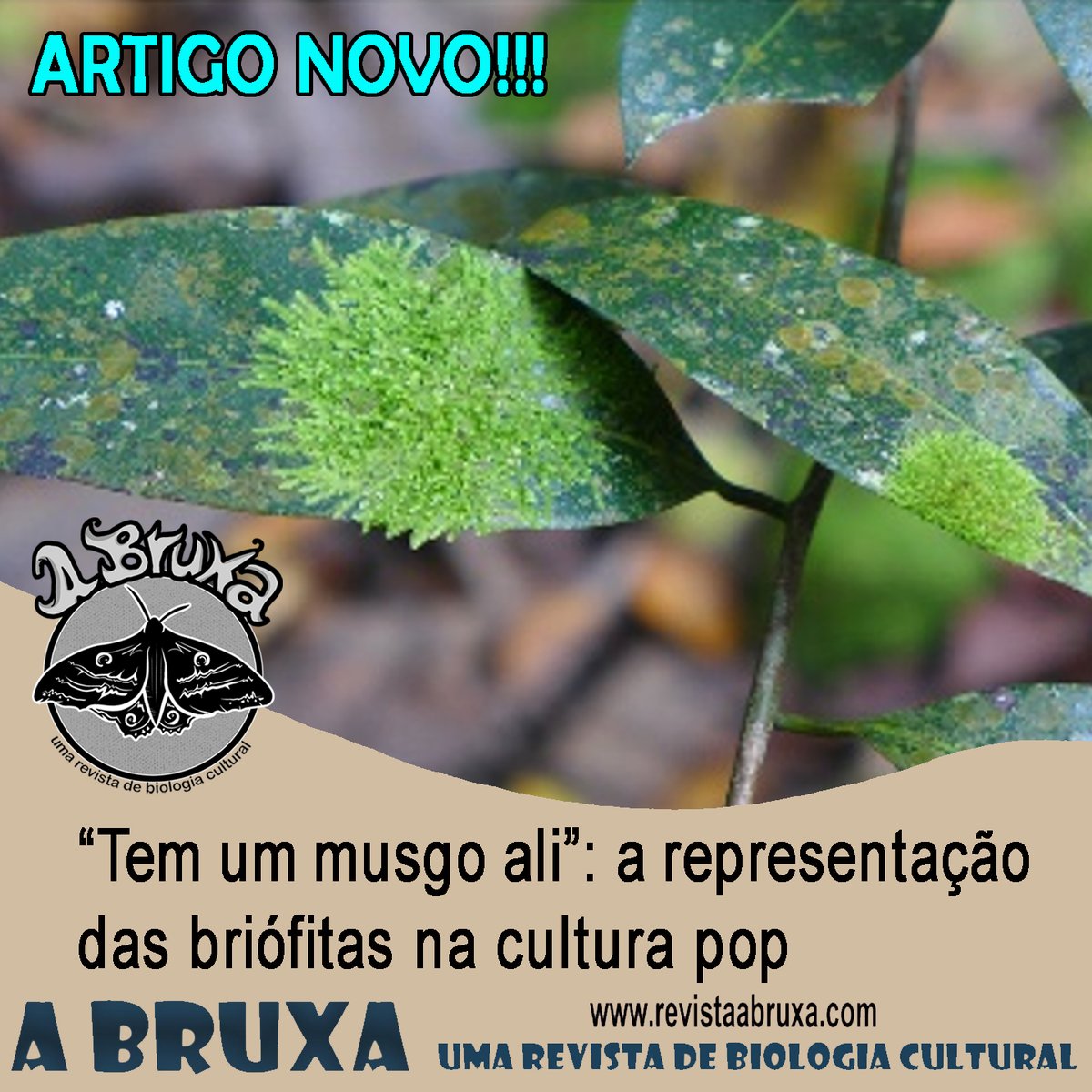 RevistaABruxa's tweet photo. Artigo novo! Quase na virada do ano!
==> "Tem um musgo ali: a representação das briófitas na cultura pop", de Jailton Silva (UFPE); Maria Sousa (UEFS) &amp; Hermeson Oliveira (UESPI).
Venha voar com A Bruxa: https://t.co/QOi0PeWlp1
E Feliz Ano Novo!!!
#botanicacultural #felizanonovo https://t.co/iI8J2U4O7y